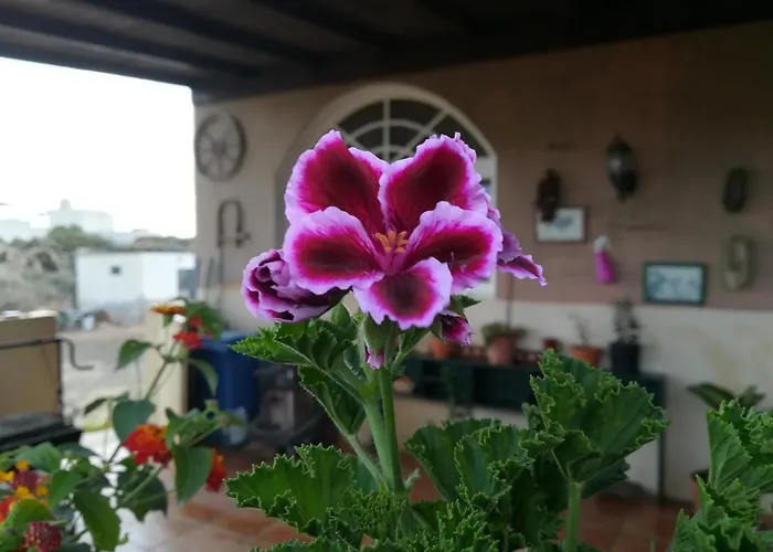 Casa Papi