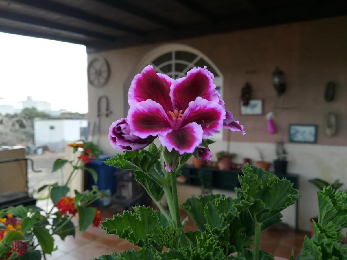 Casa Papi Séjour chez l'habitant Lajares